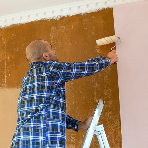improvement and repair in your apartment, wallpapering